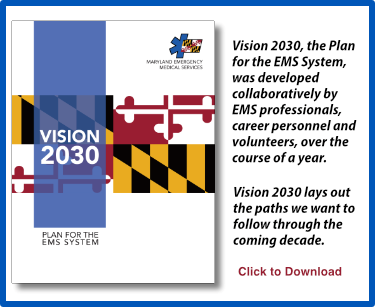 Banner for Vision 2030 - Plan for the EMS System