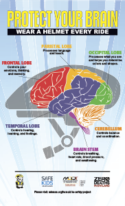 Protect Your Brain Poster - English version