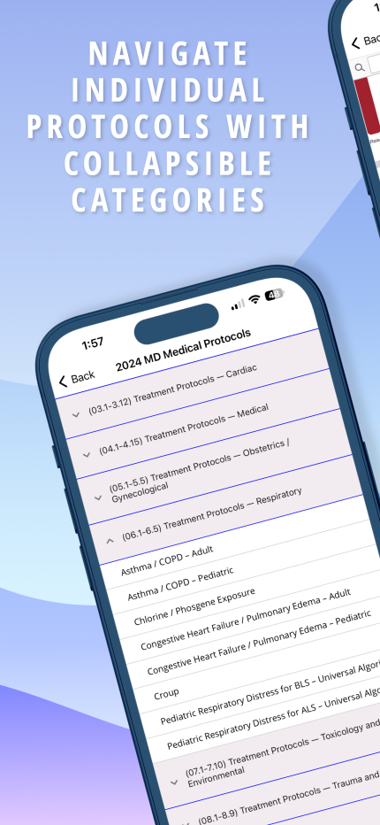 iOS Screenshot 2